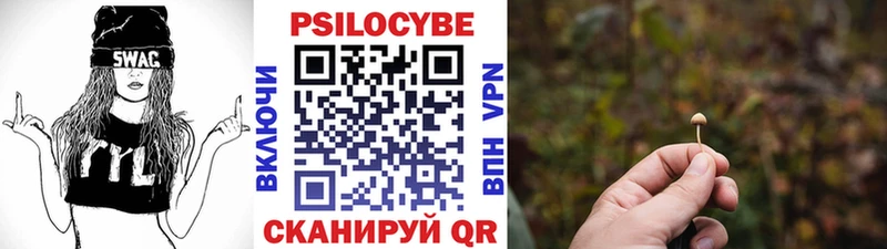 Галлюциногенные грибы ЛСД  darknet как зайти  Зеленодольск  где продают  
