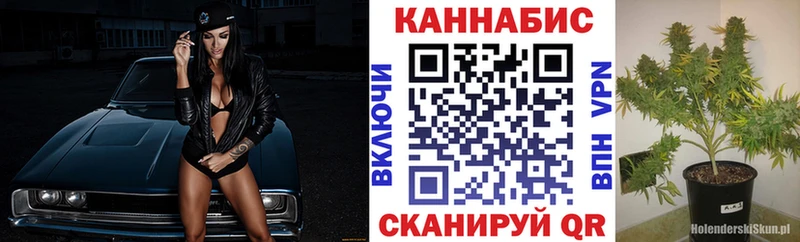 Канабис индика  даркнет формула  Зеленодольск  как найти наркотики 
